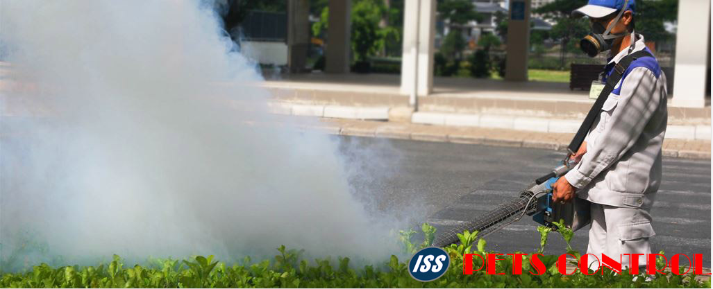 DỊCH VỤ KIỂM SOÁT CÔN TRÙNG TỔNG HỢP